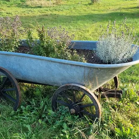 Сasa de vacaciones Róża Z Miętą