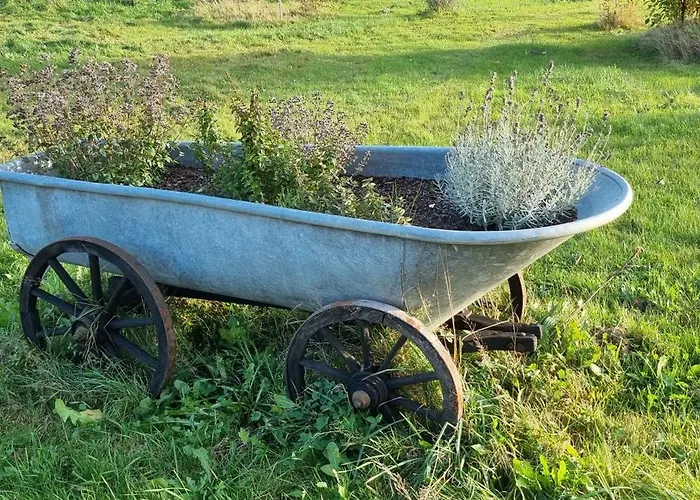 Сasa de vacaciones Róża Z Miętą